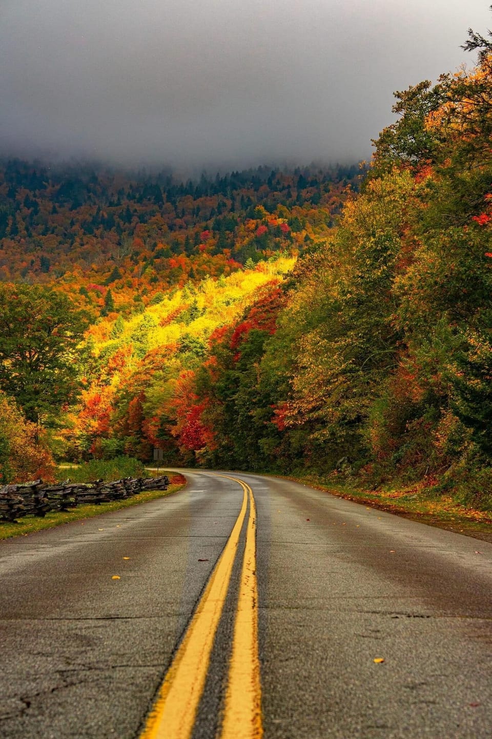 IMG 1575 1695954487702