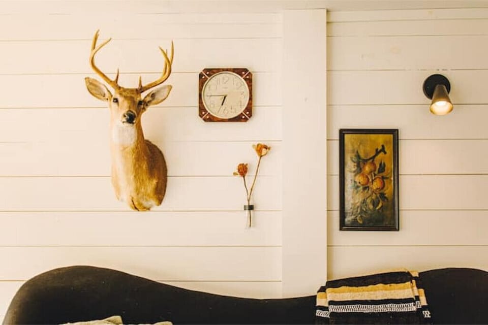 Photo by @heypamcakes
