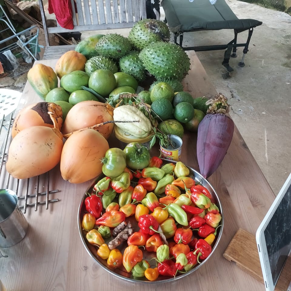 Food and drink