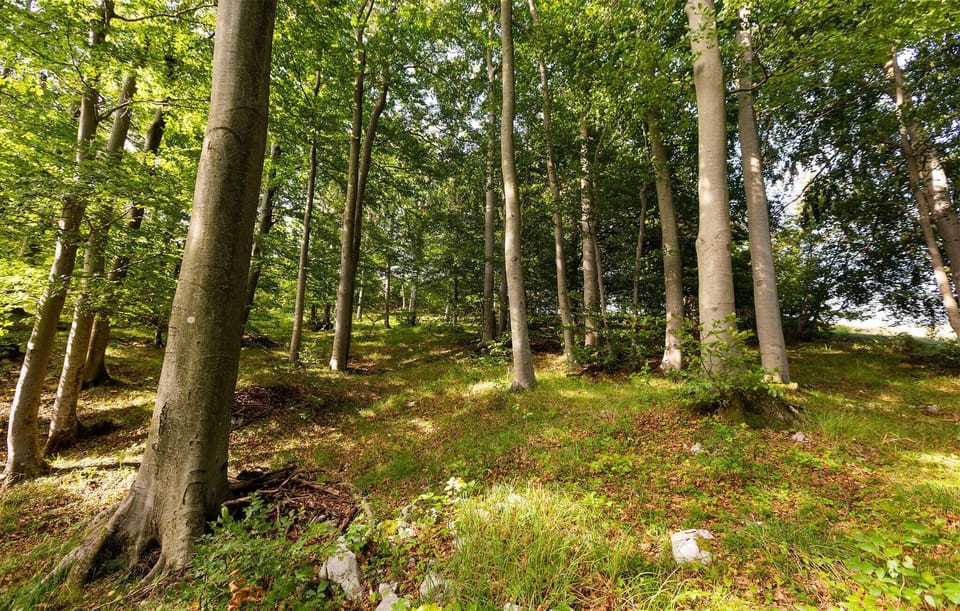 area