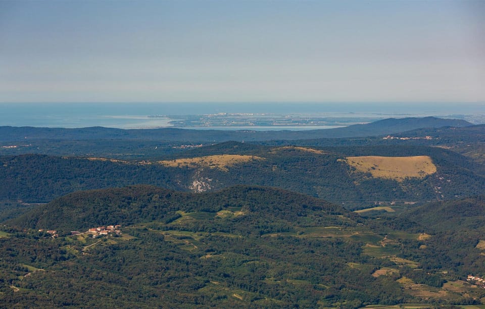 area
