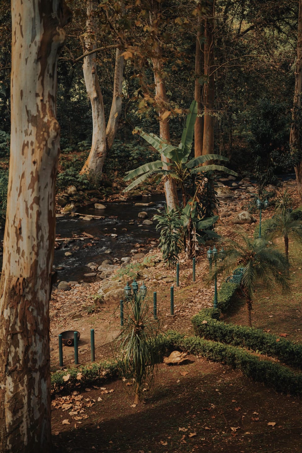 Property grounds