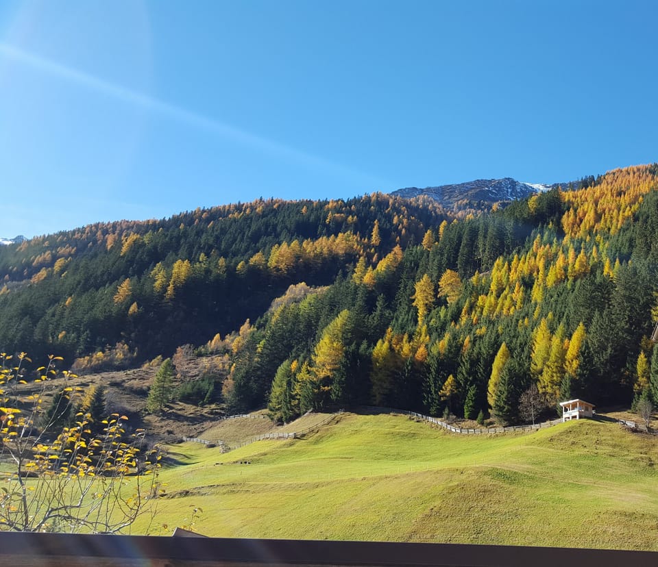 View from property