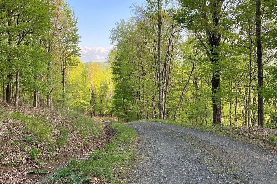 Cabin Access Road