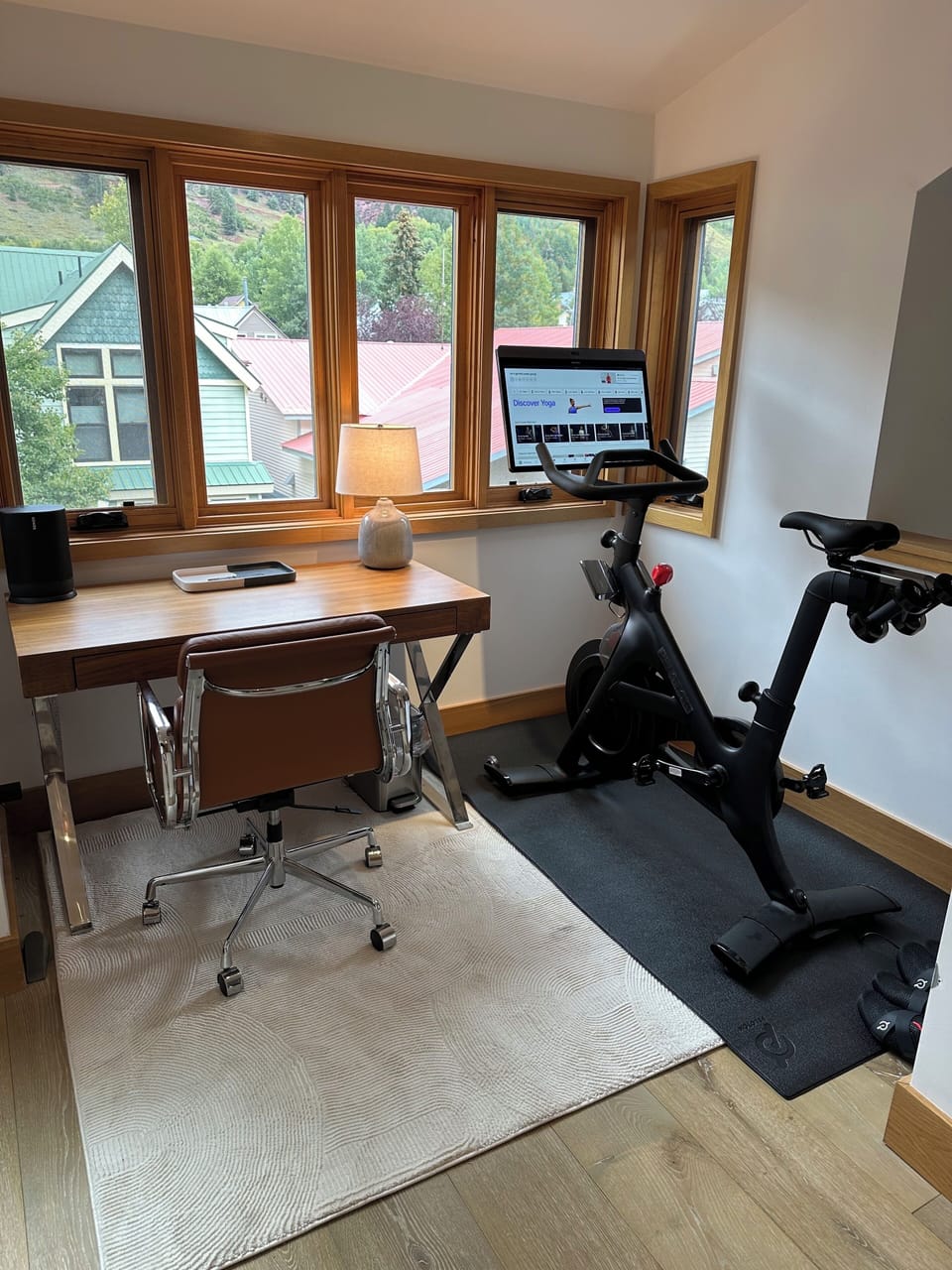 Telluride Office with Peloton