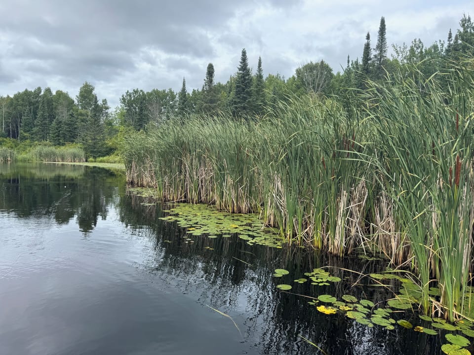 Miles of shoreline available to explore