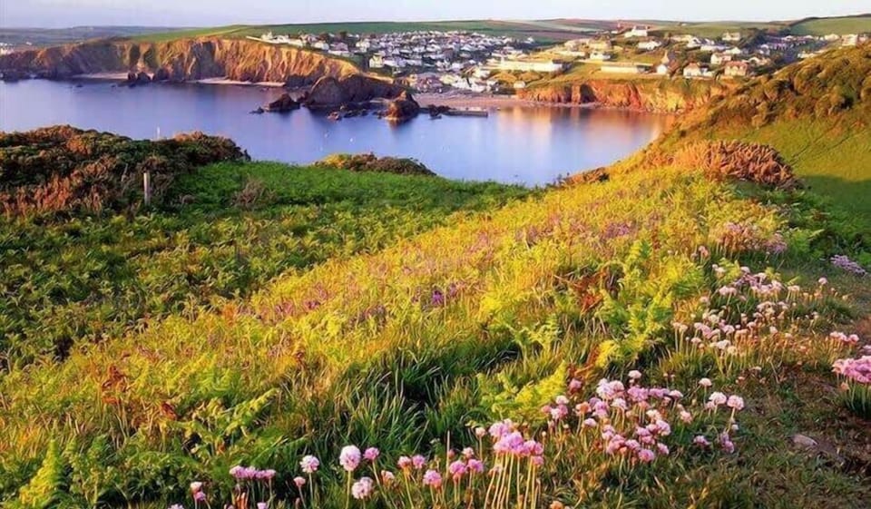 Hope Cove