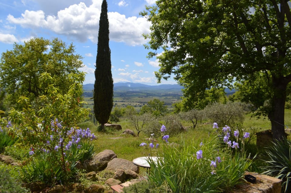 Garden views