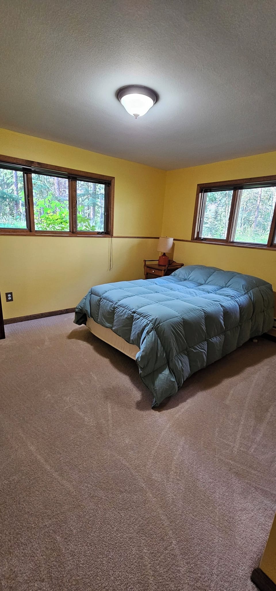 Lower level bedroom