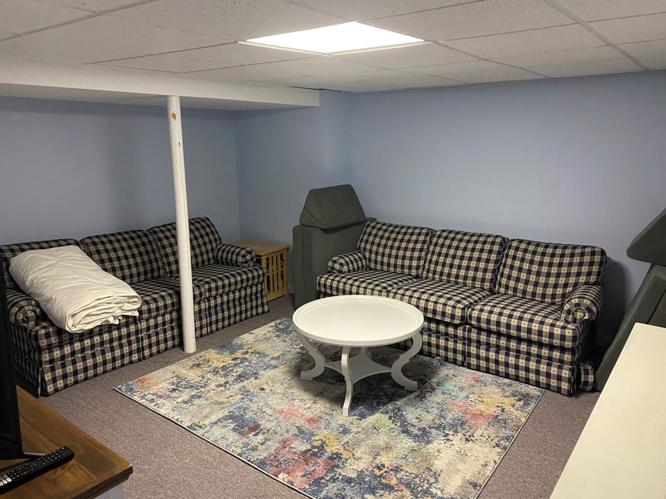 Basement rec room (sleep sofa)