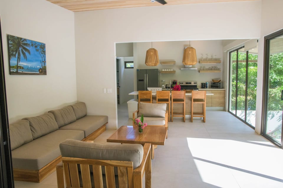 Living and Kitchen Area