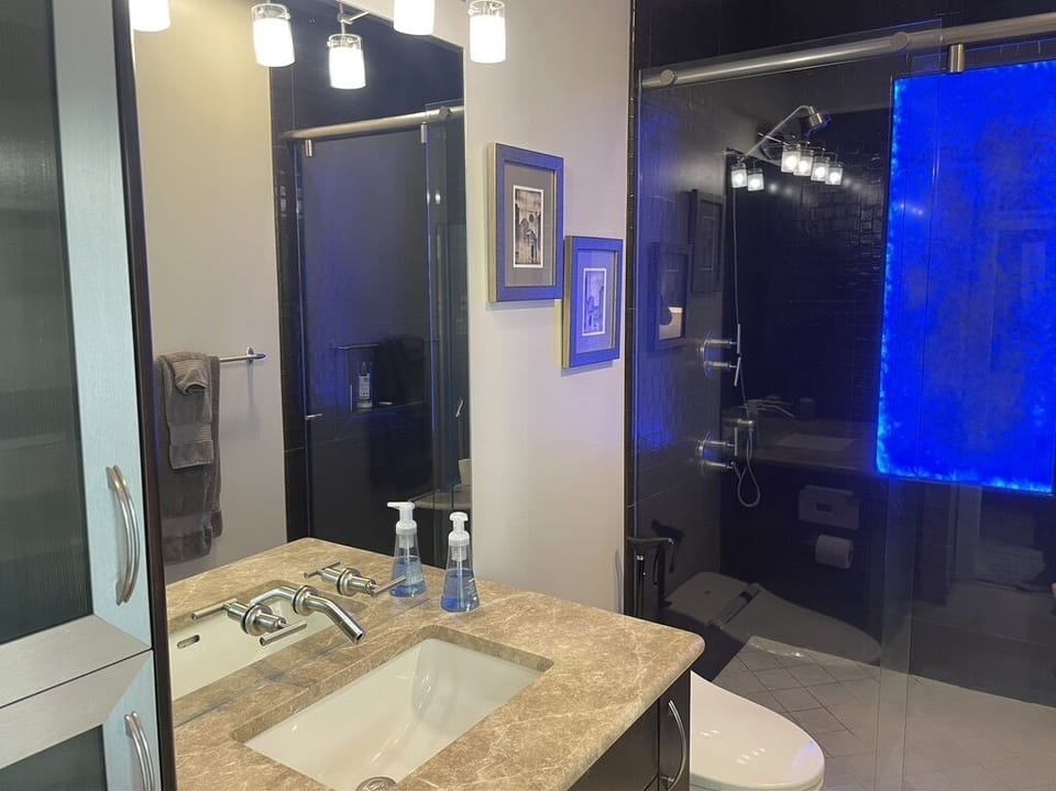 Master Bath with speakers, Toto Bidet, and 2 shower heads