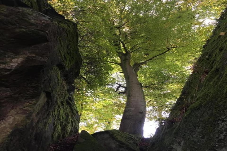 Region [summer] (>5 km)