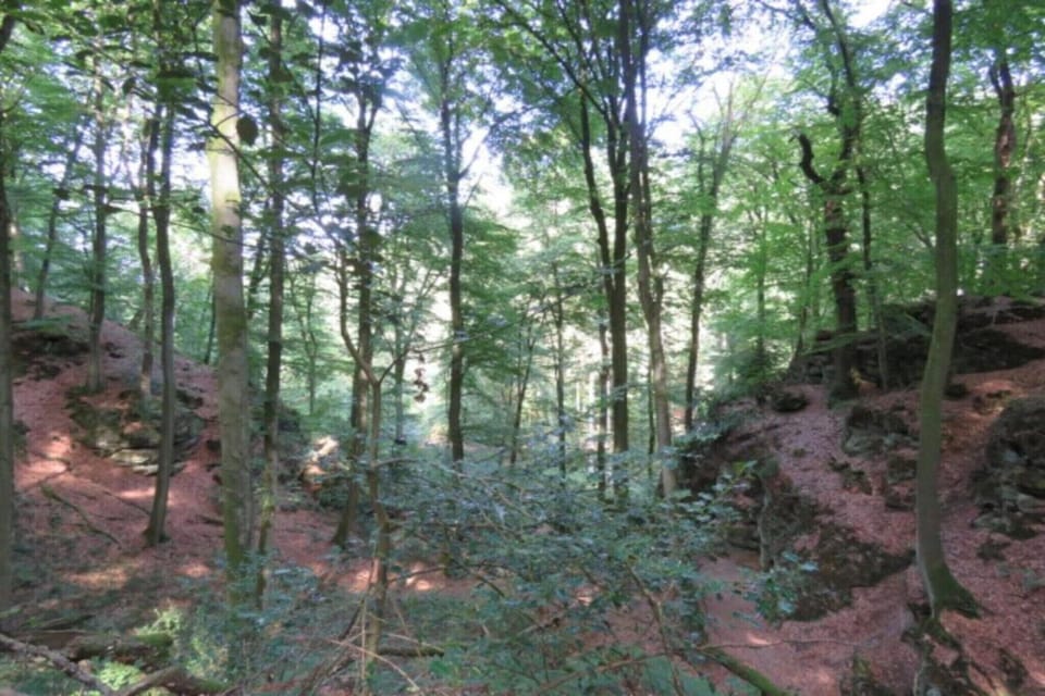 Region [summer] (>5 km)