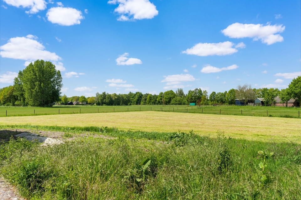 Immediate Surroundings [summer] (<1 km)