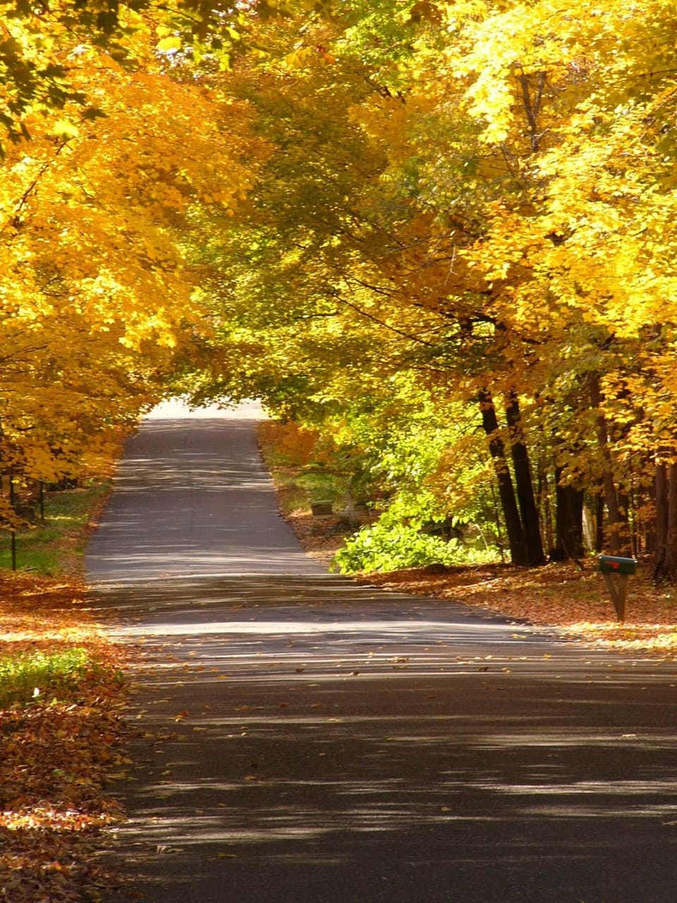 36b03aef-aaaa-4366-8b1a-5a1918d33d9d