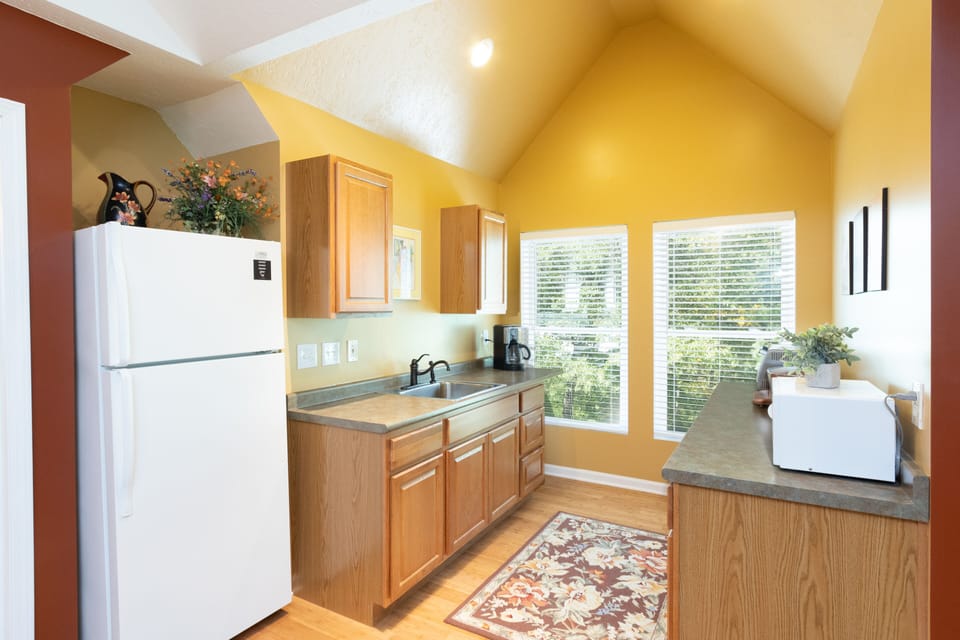 Kitchen w/full refrigerator with toaster oven, induction burner & microwave