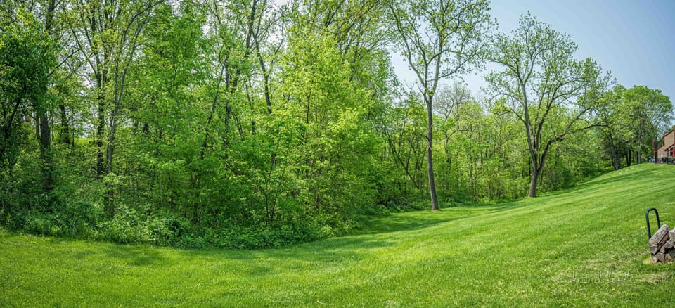 Backyard view
