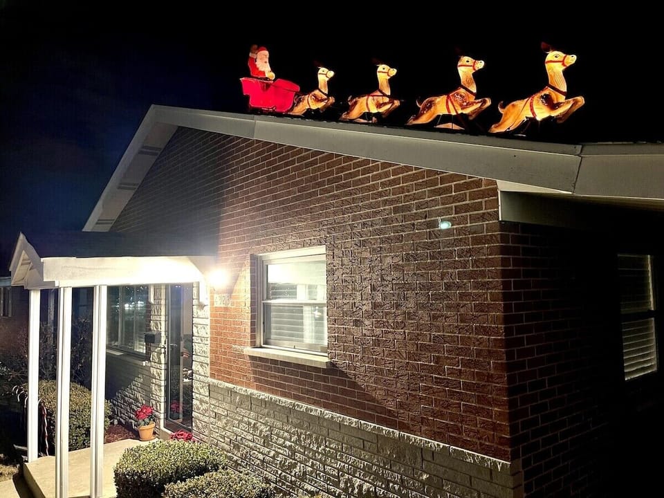 Look who is on our roof!