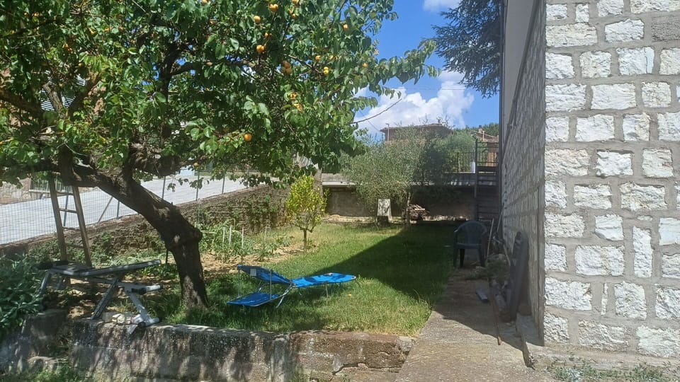 Garden, Backyard, Brick, Shade, Yard