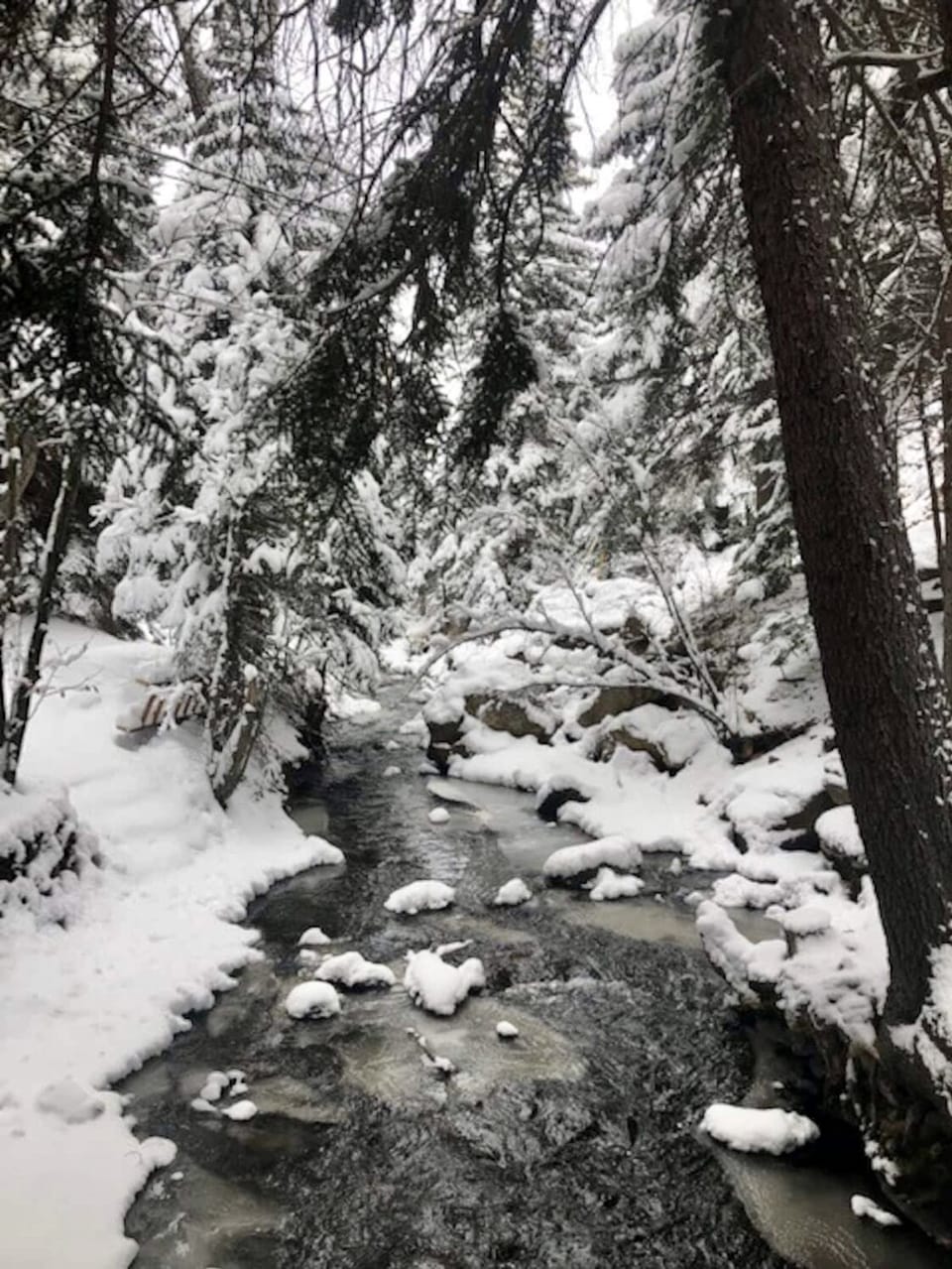 Beautiful in the winter, too