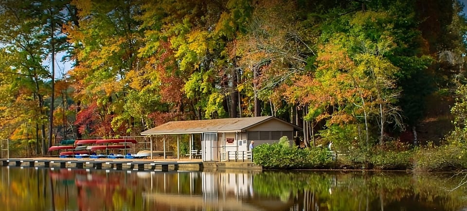 Picture quiet mornings by the water with peaceful reflections.