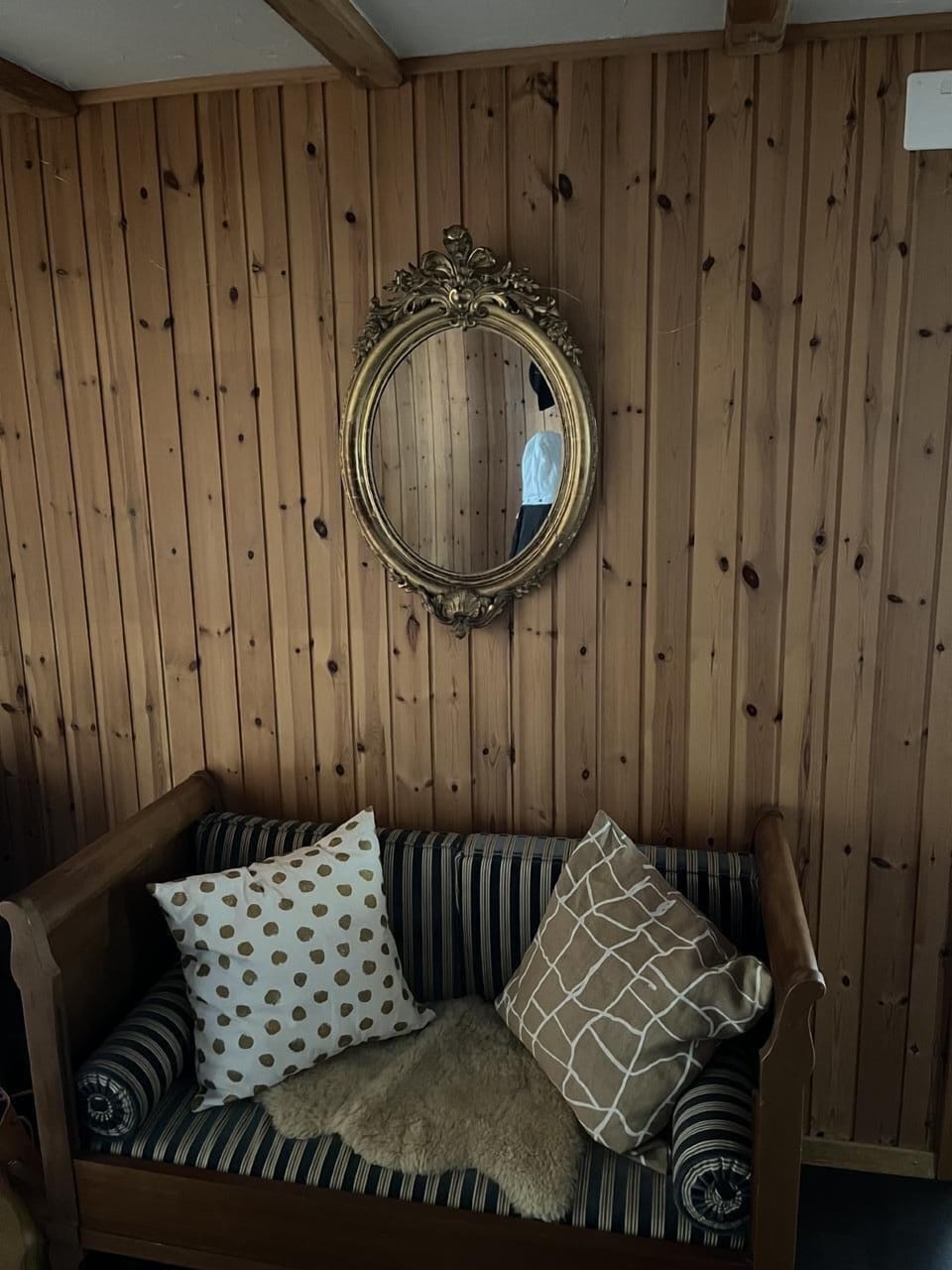 Picture 5