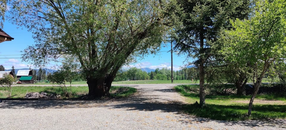 Montana countryside and only 1 mile from downtown Whitefish.