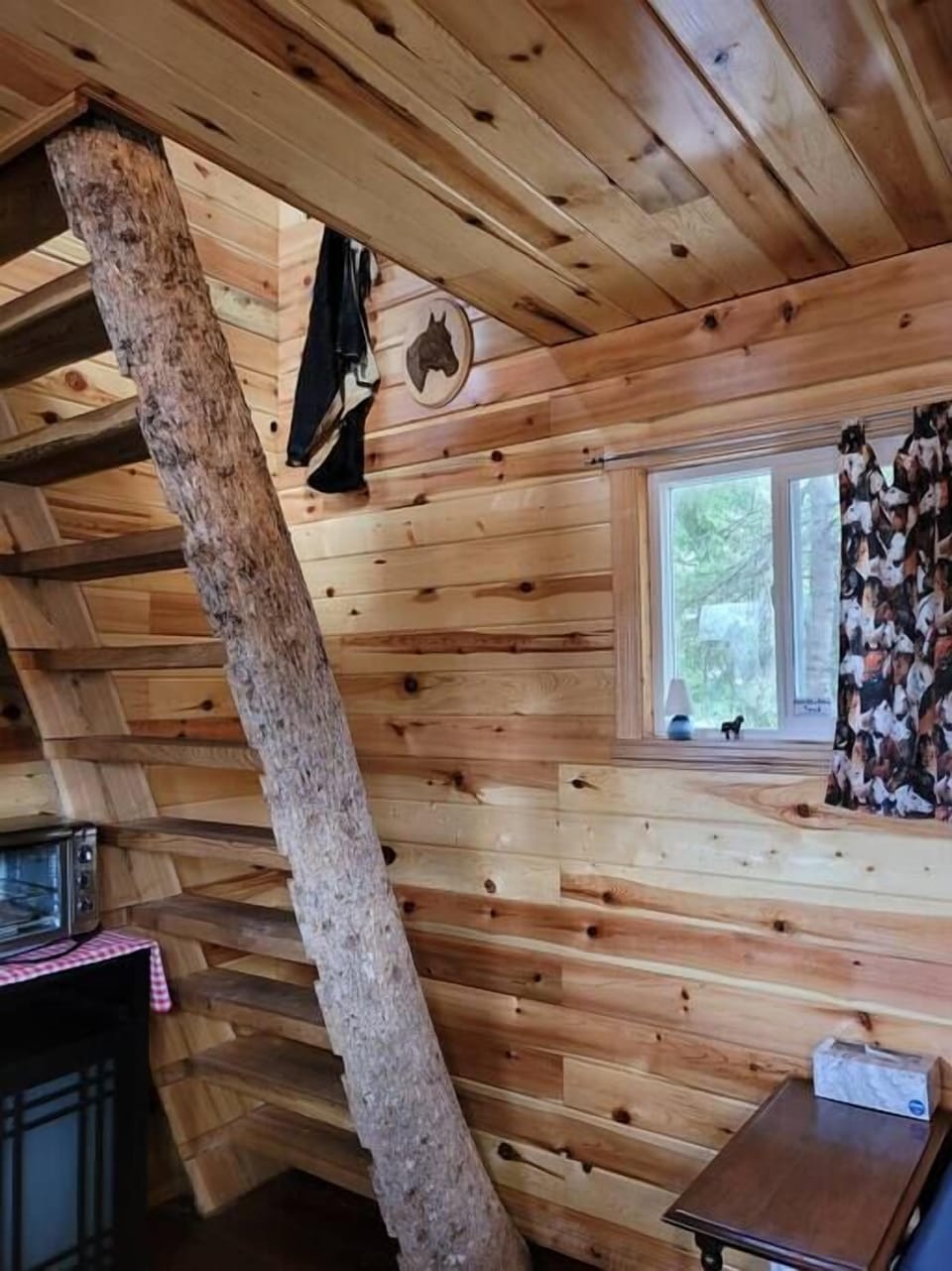 Log ladder to loft