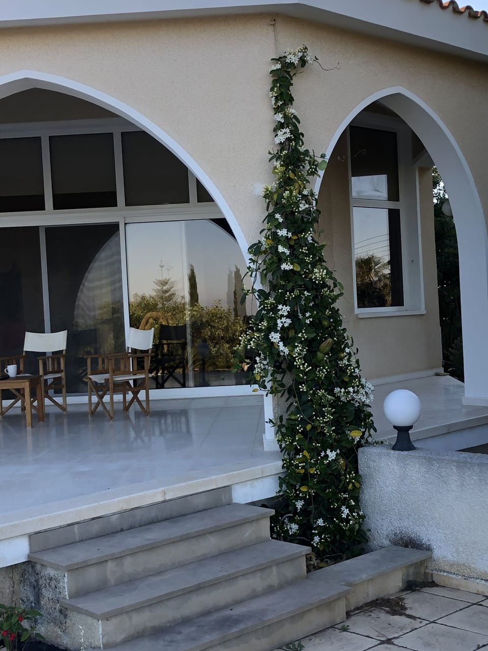 A stefanides plant climbs to the top of the back patio.