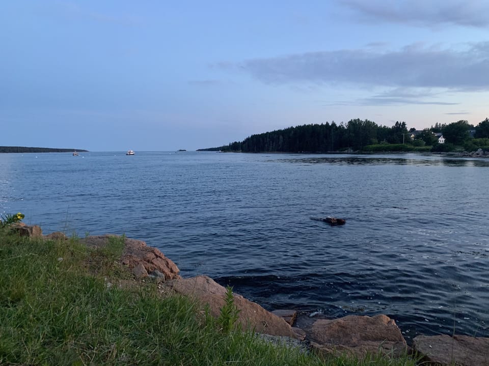 Looking out to sea