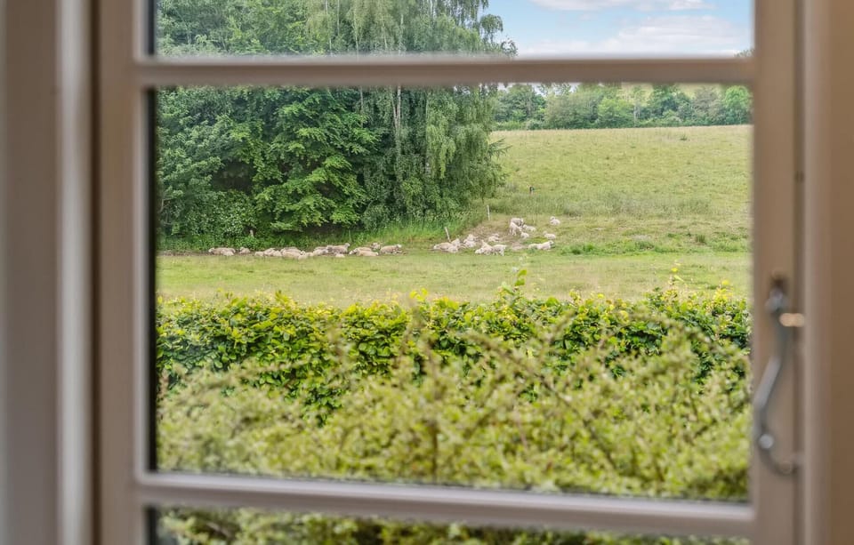 view-from-room