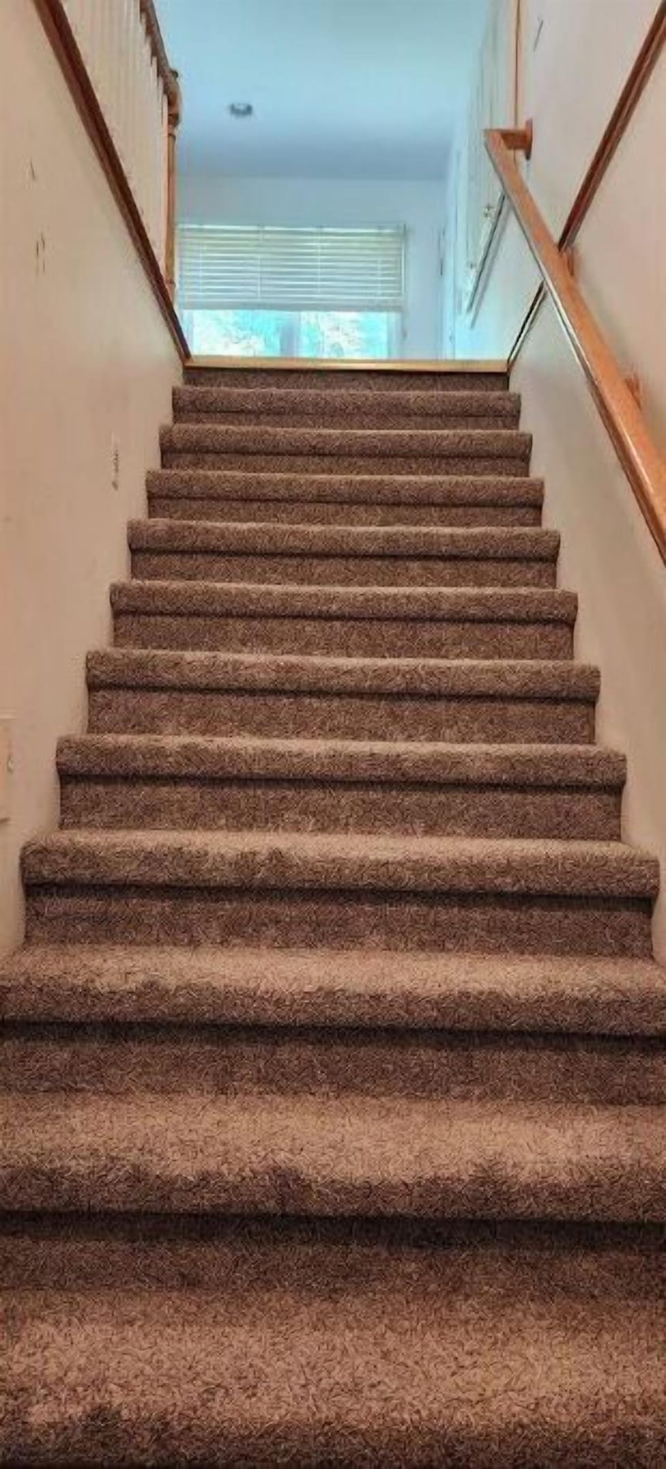 Entrance from front driveway 