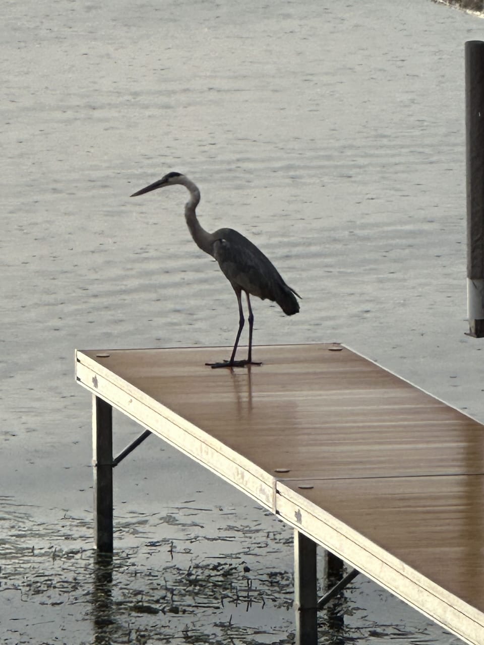 Enjoy the view with your coffee on the patio. 