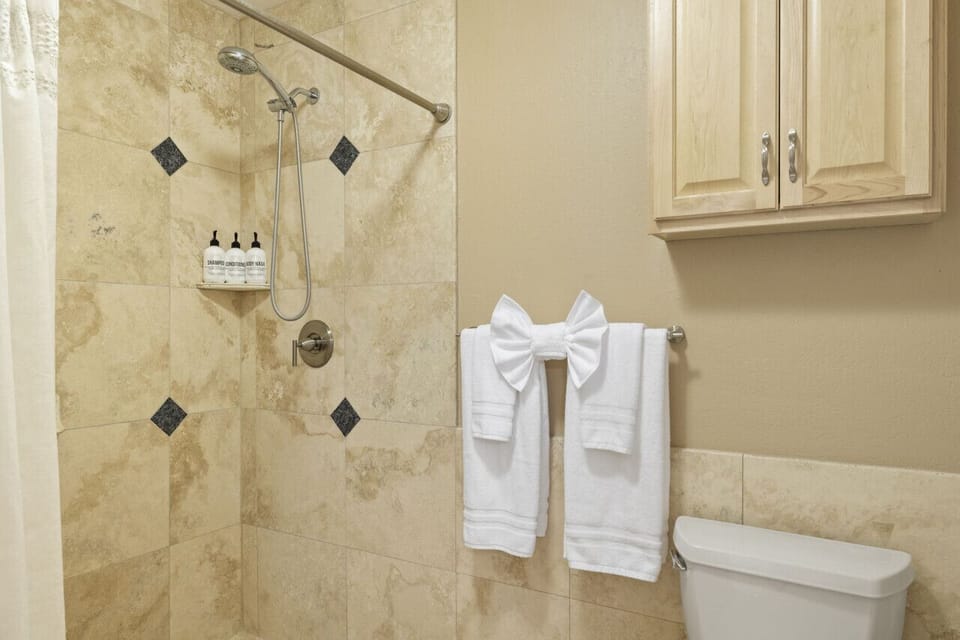 Master bathroom and walk in shower