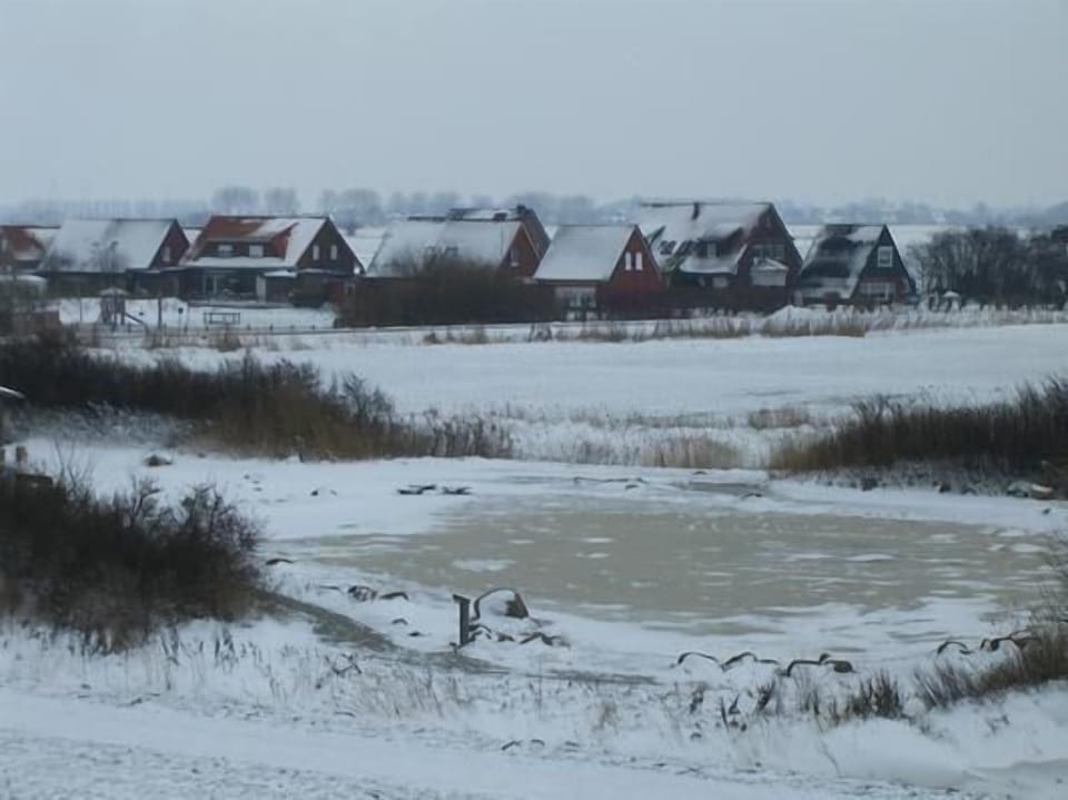 View from the dike to you holiday home