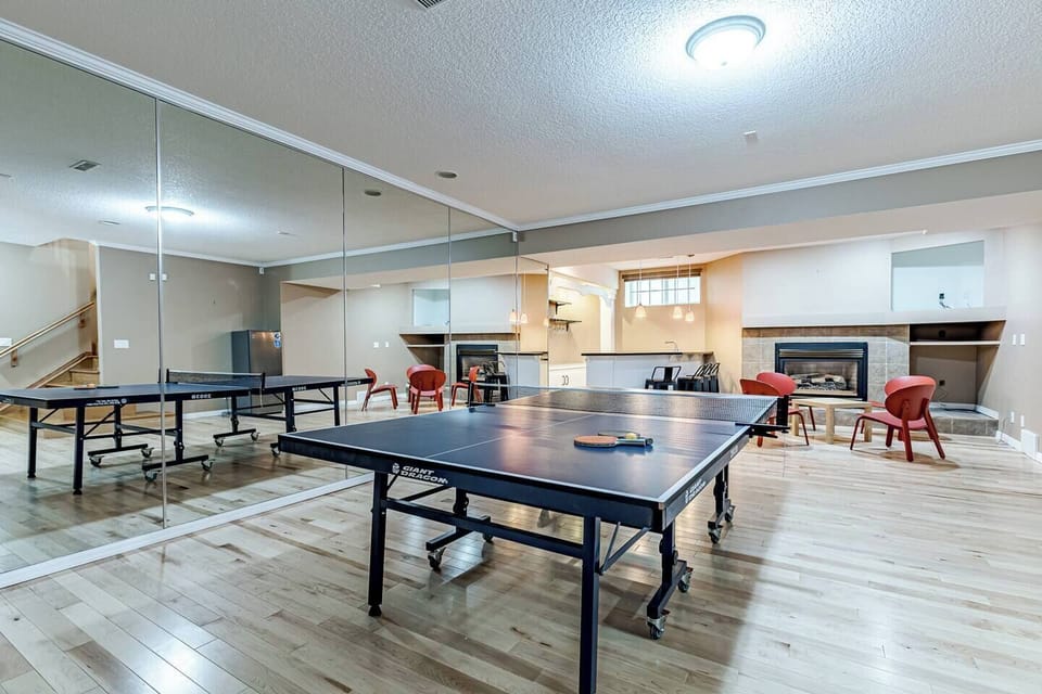 Foldable ping pong table with paddles and balls