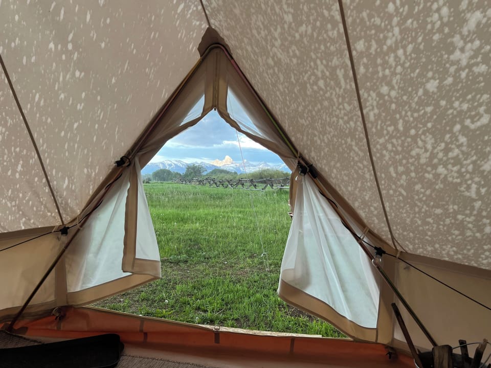 View from property