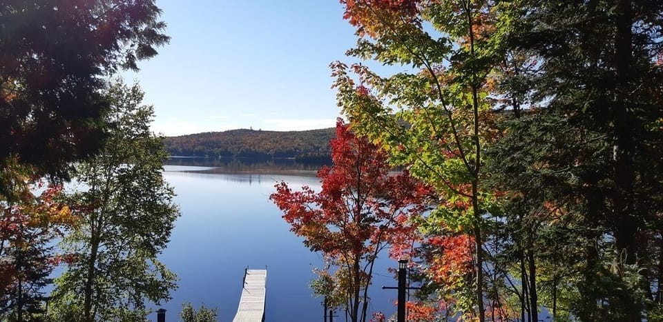 View of the lake in autumn
