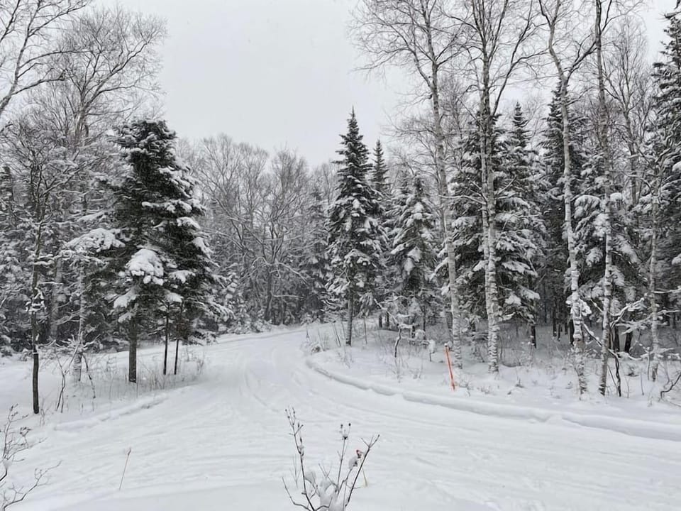 Driveway (2)