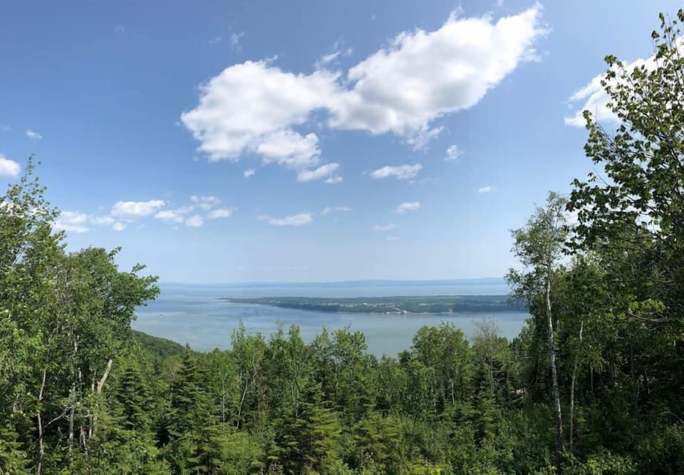 View