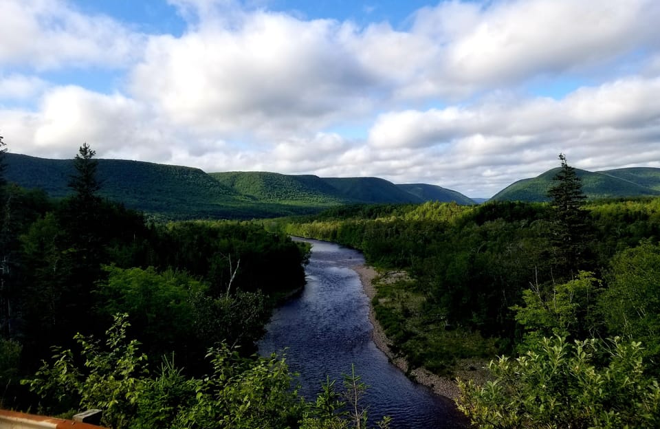 Local scenery 