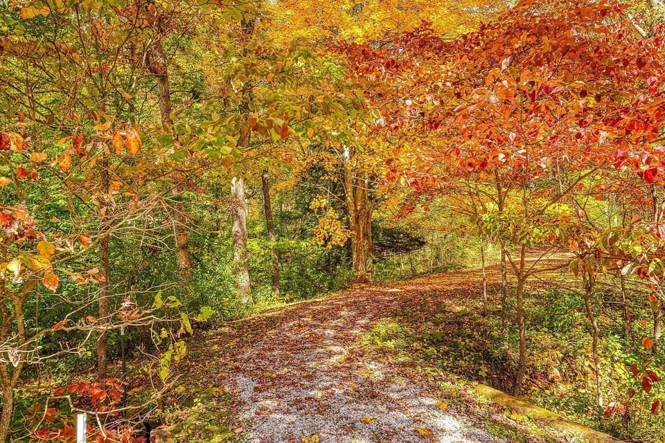 The entrance of the 37 incredible acres that SHOULD be explored during your stay