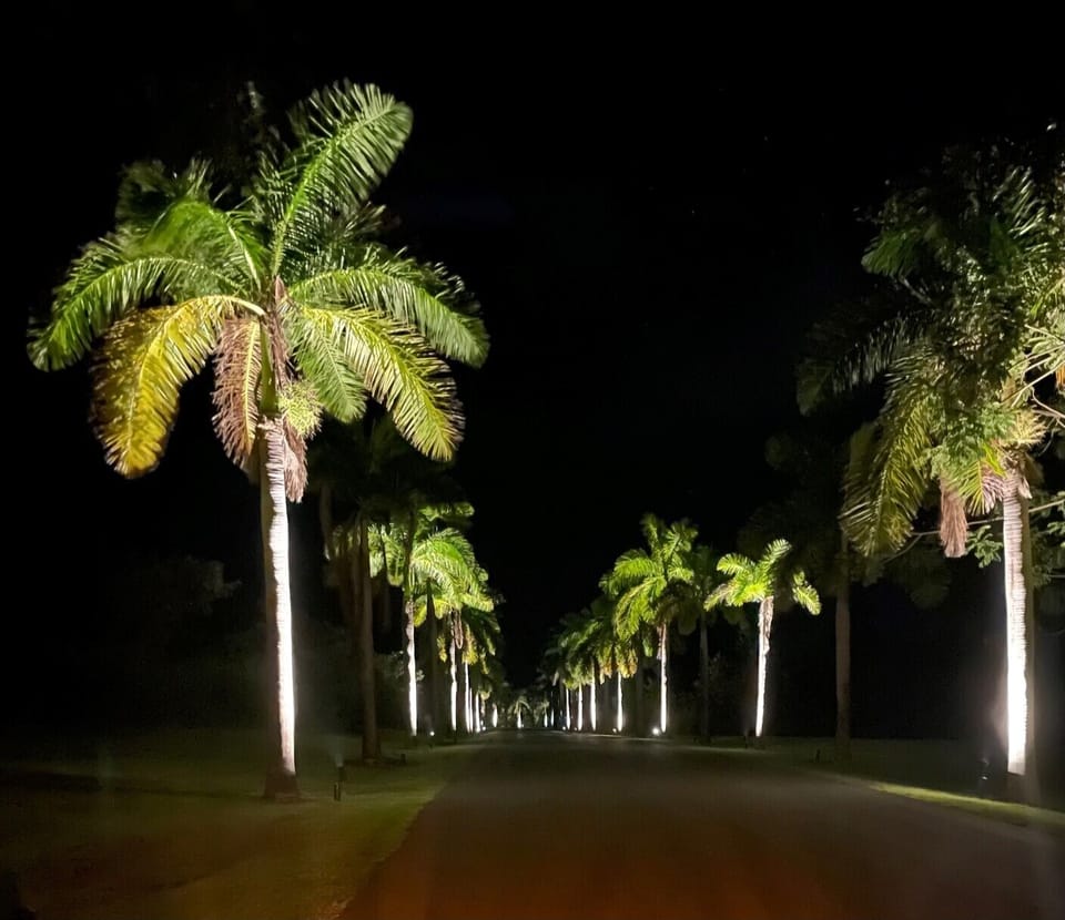 Royal Palm Entrance at Night
