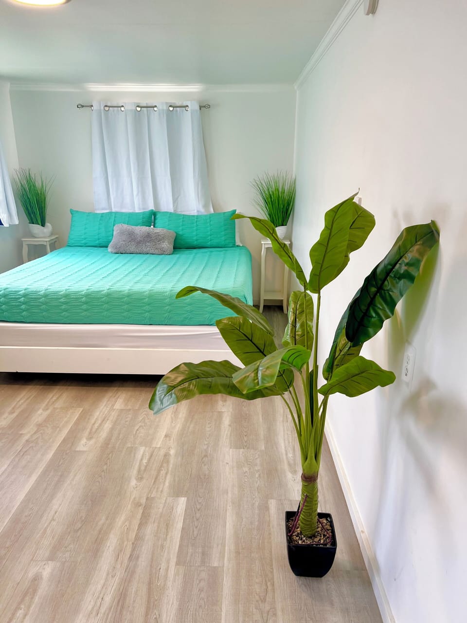 Master with cold AC and black out curtains for the best night sleep
possible 