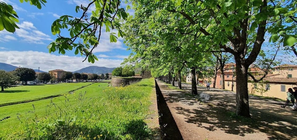 Sky, Cloud, Plant, Natural Landscape, Tree, Road Surface, Sunlight, Land Lot, Wood, Leisure