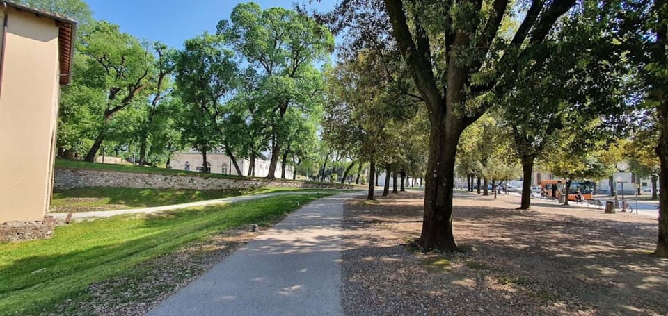 Plant, Sky, Tree, Road Surface, Shade, Natural Landscape, Thoroughfare, Grass, Landscape, Asphalt