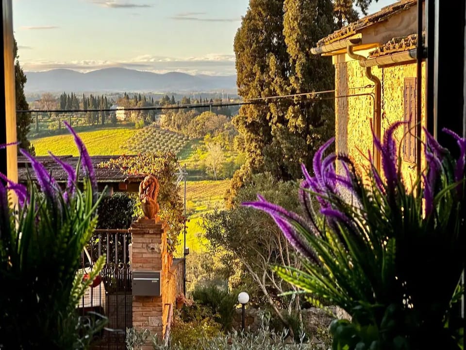 View from our kitchen window 