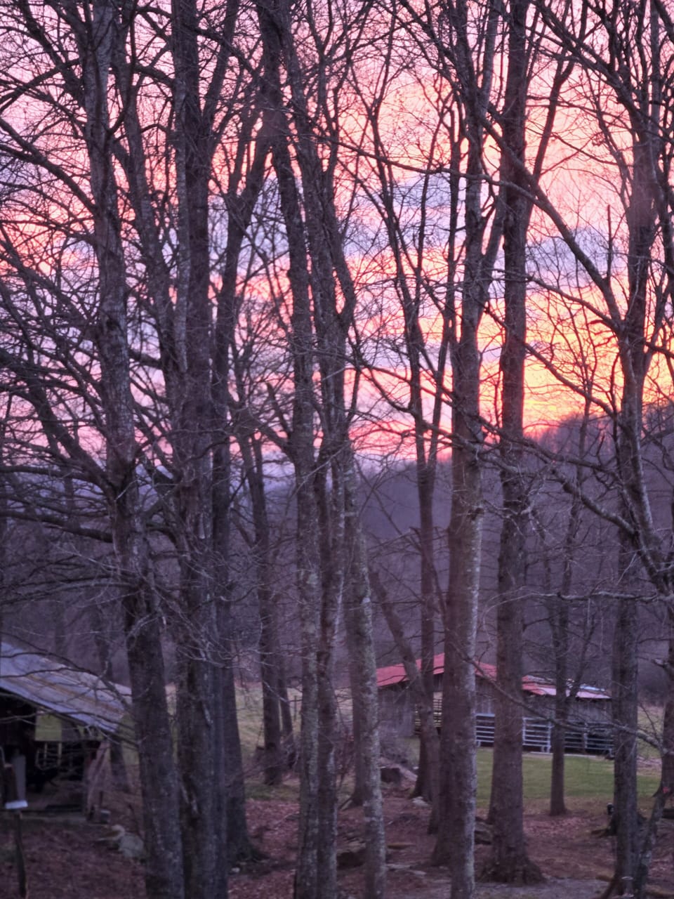 Early dawn off of the side porch.