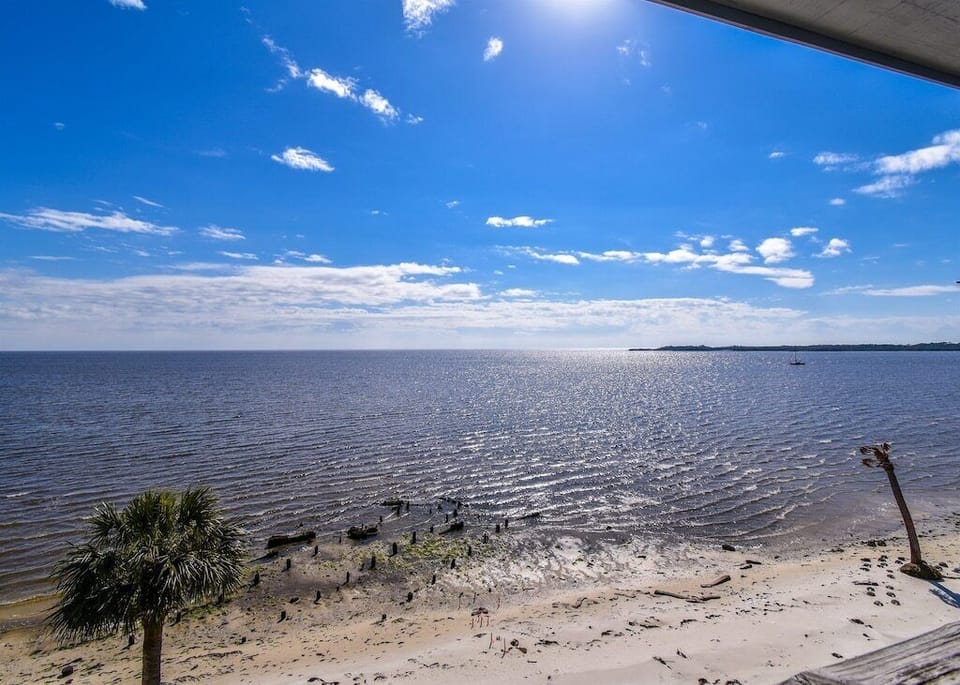 The View from your Balcony